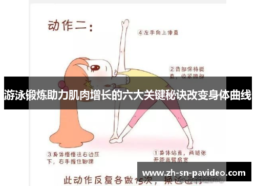 游泳锻炼助力肌肉增长的六大关键秘诀改变身体曲线