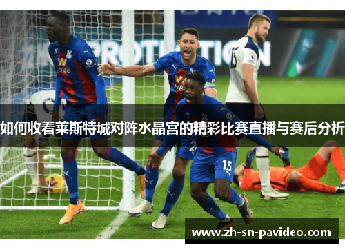 如何收看莱斯特城对阵水晶宫的精彩比赛直播与赛后分析