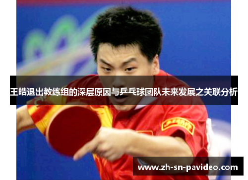 王皓退出教练组的深层原因与乒乓球团队未来发展之关联分析