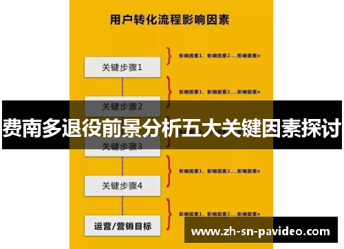 费南多退役前景分析五大关键因素探讨