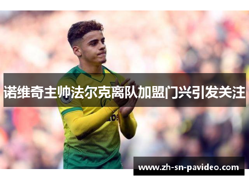 诺维奇主帅法尔克离队加盟门兴引发关注