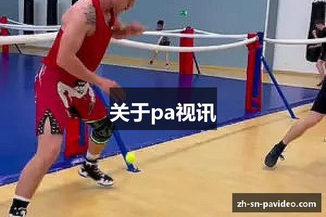 关于pa视讯